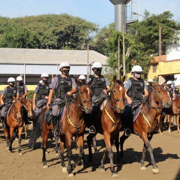Regimento de Polícia Montada 9 de Julho recebe mais 23 cavalos