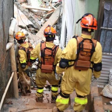 Corpo de Bombeiros de São Paulo: luta sem fim pela vida