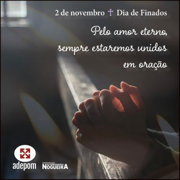 Dia de Finados: pelo amor eterno, sempre estaremos unidos em oração